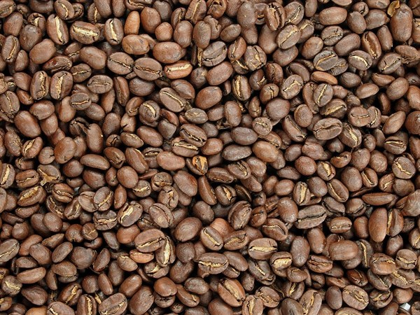 Káva Arabica Etiopie Sidamo BIO