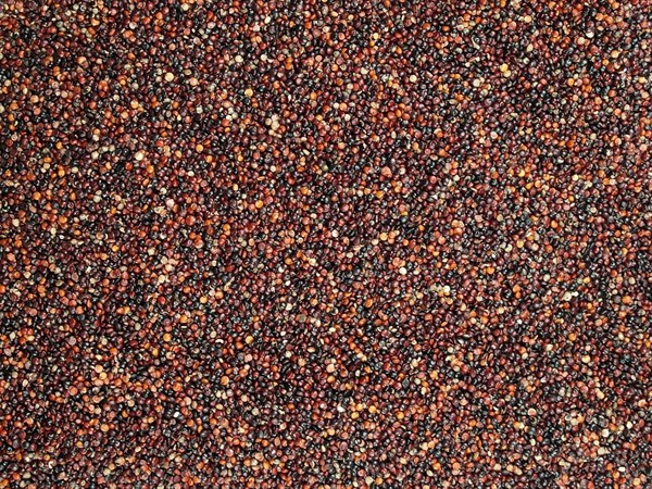 Laskominy Quinoa černá