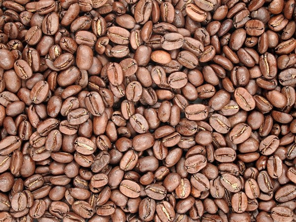 Káva Ekvádor Loja