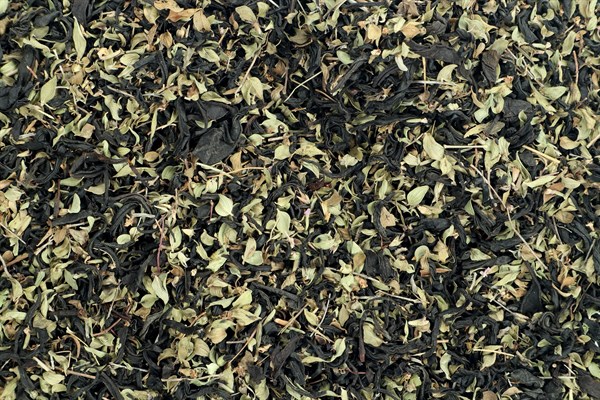 Čaj Gruzínský černý čaj s tymiánem