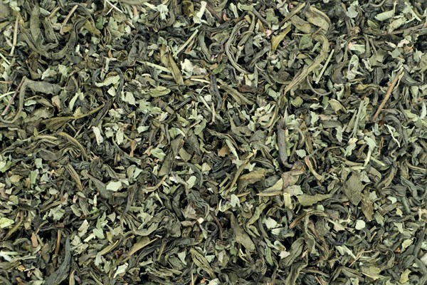 Čaj Gruzínský zelený čaj s mátou