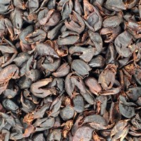 Cascara BIO